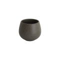 Nutty Tasting Cup