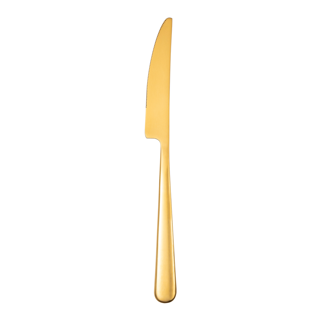 23cm Dinner Knife