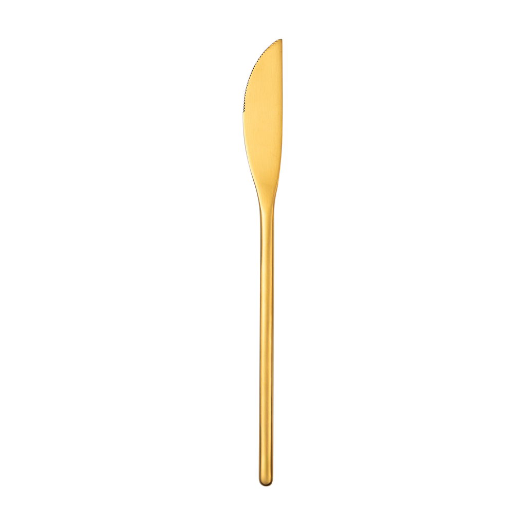 22cm Dinner Knife